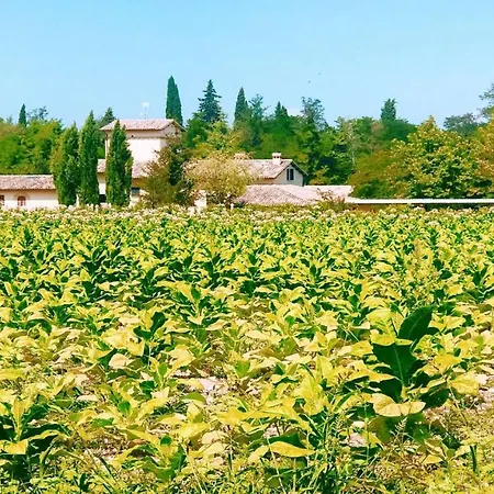 Spoleto Luxury Mill House, Spoleto Centre 10 Mins Villa *